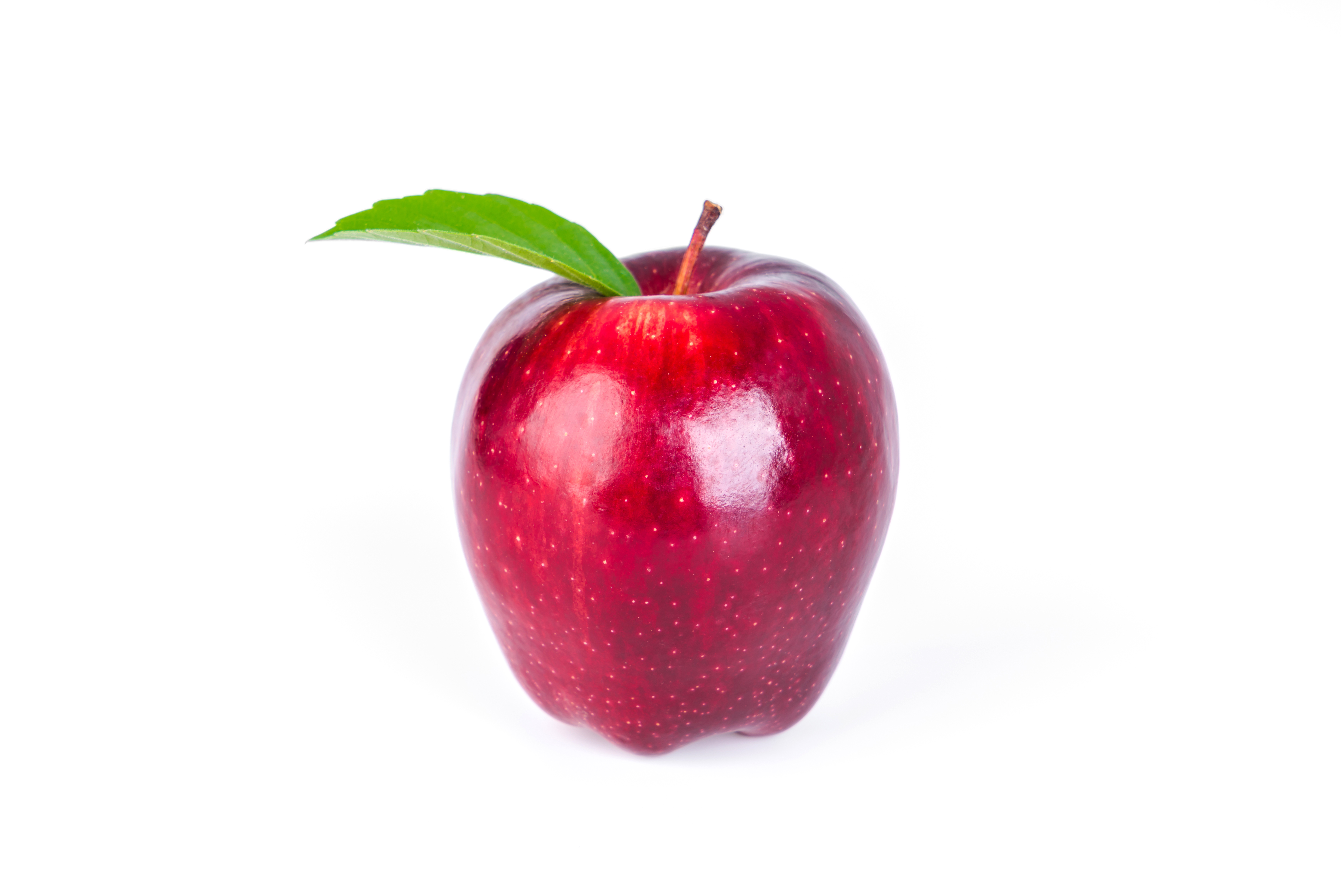 Potato